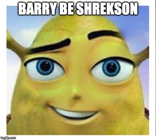  BARRY BE SHREKSON | made w/ Imgflip meme maker