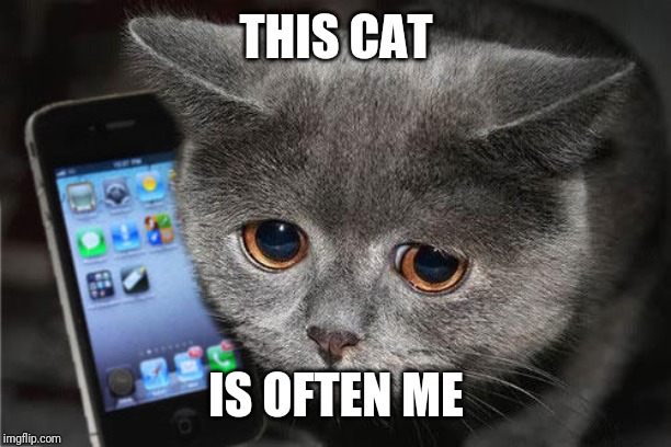 Sad cat phone | THIS CAT; IS OFTEN ME | image tagged in sad cat phone | made w/ Imgflip meme maker