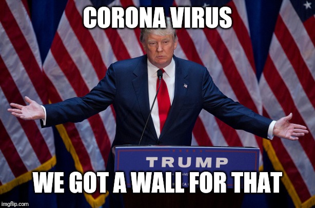 Donald Trump | CORONA VIRUS; WE GOT A WALL FOR THAT | image tagged in donald trump | made w/ Imgflip meme maker