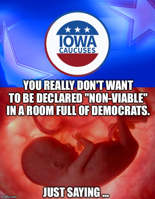 It could be hazardous... | YOU REALLY DON'T WANT TO BE DECLARED "NON-VIABLE" IN A ROOM FULL OF DEMOCRATS. JUST SAYING ... | image tagged in fetus,iowa caucuses,Conservative | made w/ Imgflip meme maker