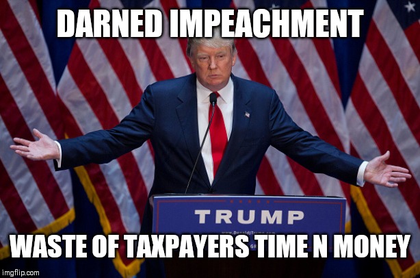 Donald Trump | DARNED IMPEACHMENT; WASTE OF TAXPAYERS TIME N MONEY | image tagged in donald trump | made w/ Imgflip meme maker