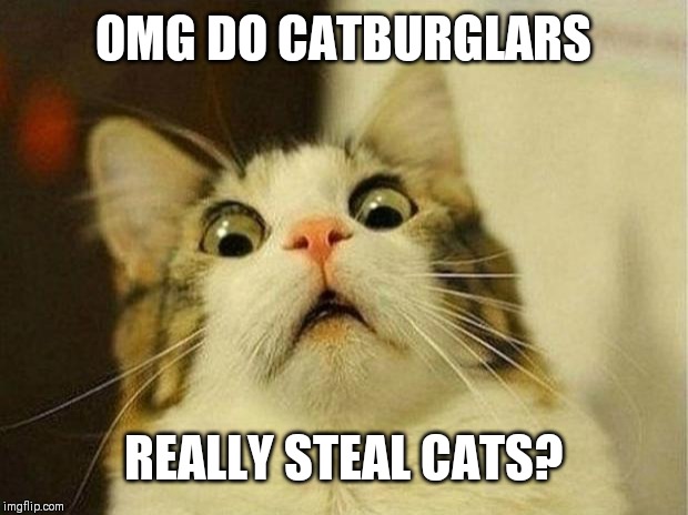 Scared Cat | OMG DO CATBURGLARS; REALLY STEAL CATS? | image tagged in memes,scared cat | made w/ Imgflip meme maker