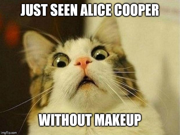 Scared Cat Meme | JUST SEEN ALICE COOPER; WITHOUT MAKEUP | image tagged in memes,scared cat | made w/ Imgflip meme maker