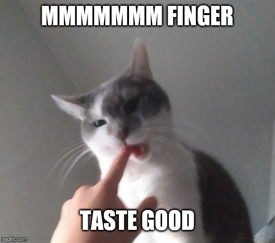 Mmmmm finger good | MMMMMMM FINGER; TASTE GOOD | image tagged in mmmmm finger good | made w/ Imgflip meme maker