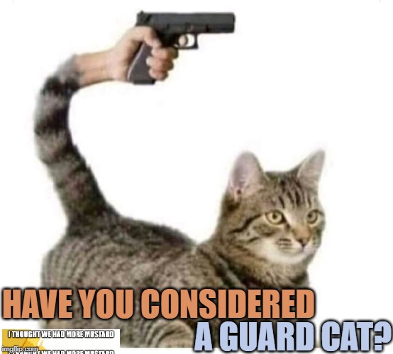 Guard Cat | HAVE YOU CONSIDERED; A GUARD CAT? | image tagged in guard,cat,cats,guns | made w/ Imgflip meme maker