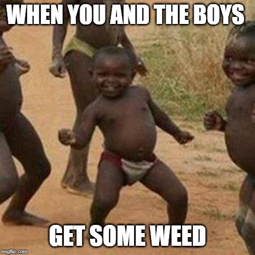 Third World Success Kid Meme | WHEN YOU AND THE BOYS; GET SOME WEED | image tagged in memes,third world success kid | made w/ Imgflip meme maker