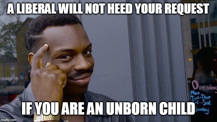 Roll Safe Think About It Meme | A LIBERAL WILL NOT HEED YOUR REQUEST IF YOU ARE AN UNBORN CHILD | image tagged in memes,roll safe think about it | made w/ Imgflip meme maker