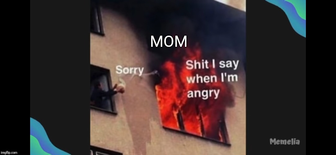 MOM | image tagged in dank | made w/ Imgflip meme maker