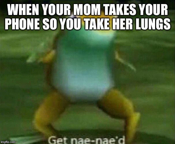 Get nae-nae'd | WHEN YOUR MOM TAKES YOUR PHONE SO YOU TAKE HER LUNGS | image tagged in get nae-nae'd | made w/ Imgflip meme maker