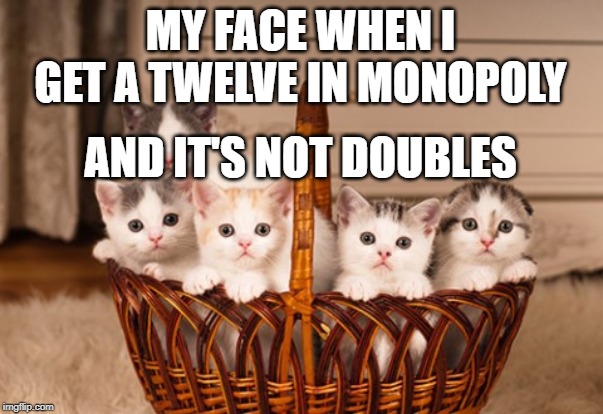 kittens | MY FACE WHEN I GET A TWELVE IN MONOPOLY; AND IT'S NOT DOUBLES | image tagged in kittens | made w/ Imgflip meme maker