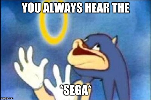 Sonic derp | YOU ALWAYS HEAR THE *SEGA* | image tagged in sonic derp | made w/ Imgflip meme maker