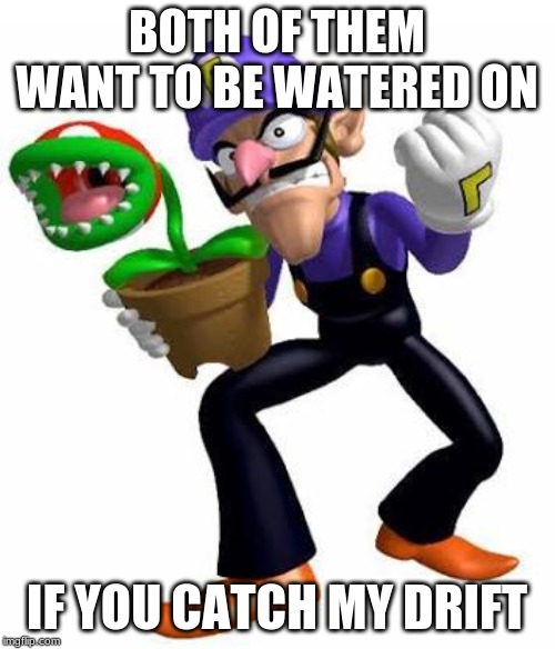 Piranha Plant > Waluigi | BOTH OF THEM WANT TO BE WATERED ON; IF YOU CATCH MY DRIFT | image tagged in piranha plant  waluigi | made w/ Imgflip meme maker