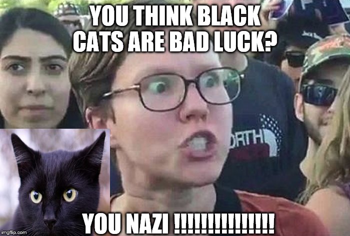 Triggered Liberal | YOU THINK BLACK CATS ARE BAD LUCK? YOU NAZI !!!!!!!!!!!!!!! | image tagged in triggered liberal | made w/ Imgflip meme maker