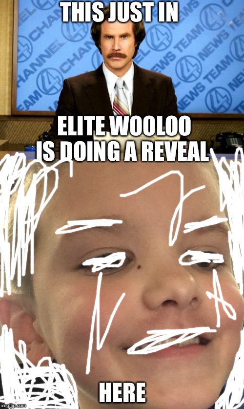 THIS JUST IN; ELITE WOOLOO IS DOING A REVEAL; HERE | image tagged in breaking news | made w/ Imgflip meme maker