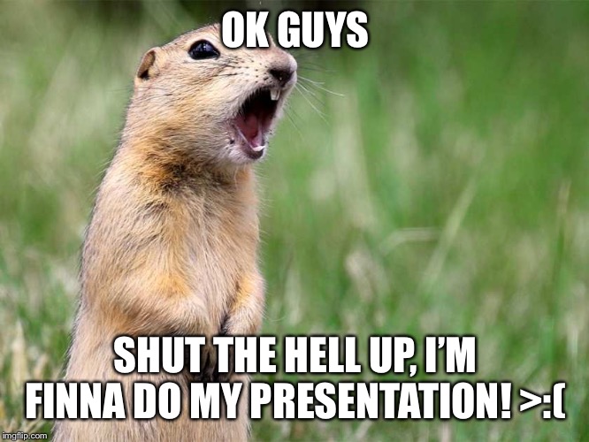 gopher | OK GUYS SHUT THE HELL UP, I’M FINNA DO MY PRESENTATION! >:( | image tagged in gopher | made w/ Imgflip meme maker