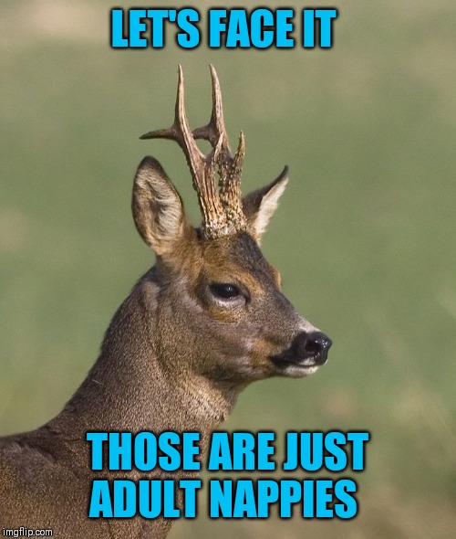 Sad deer | LET'S FACE IT THOSE ARE JUST ADULT NAPPIES | image tagged in sad deer | made w/ Imgflip meme maker