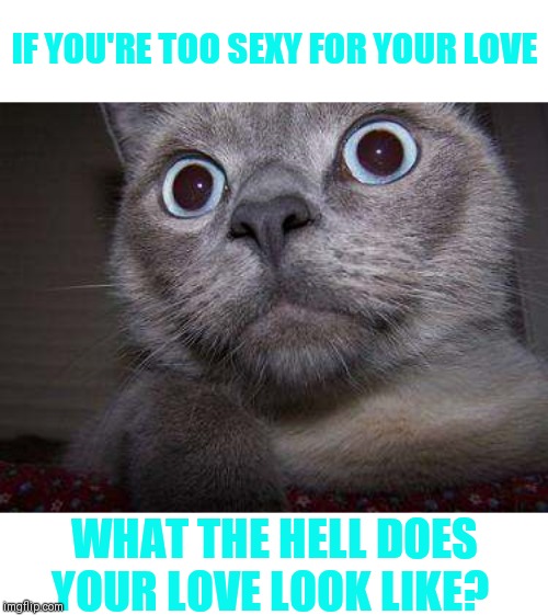 Freaky eye cat | IF YOU'RE TOO SEXY FOR YOUR LOVE WHAT THE HELL DOES YOUR LOVE LOOK LIKE? | image tagged in freaky eye cat | made w/ Imgflip meme maker