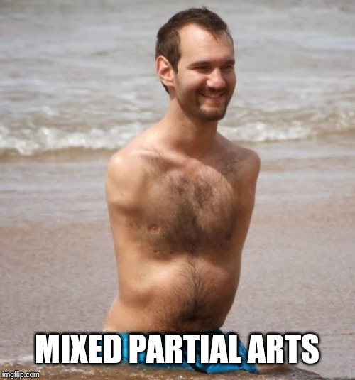 No Arms, No Legs Guy | MIXED PARTIAL ARTS | image tagged in no arms no legs guy | made w/ Imgflip meme maker