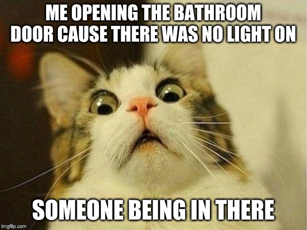 Scared Cat Meme | ME OPENING THE BATHROOM DOOR CAUSE THERE WAS NO LIGHT ON; SOMEONE BEING IN THERE | image tagged in memes,scared cat | made w/ Imgflip meme maker