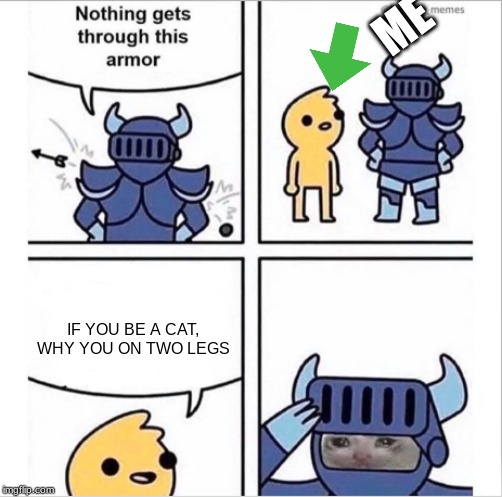 knight armor | ME; IF YOU BE A CAT, WHY YOU ON TWO LEGS | image tagged in knight armor | made w/ Imgflip meme maker
