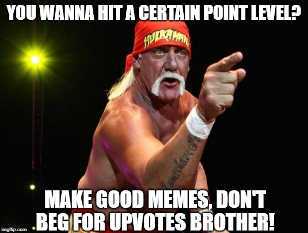Some Advice | YOU WANNA HIT A CERTAIN POINT LEVEL? MAKE GOOD MEMES, DON'T BEG FOR UPVOTES BROTHER! | image tagged in hulk hogan | made w/ Imgflip meme maker
