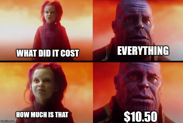 thanos what did it cost | EVERYTHING; WHAT DID IT COST; HOW MUCH IS THAT; $10.50 | image tagged in thanos what did it cost | made w/ Imgflip meme maker