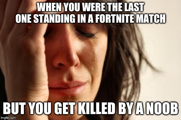 First World Problems | WHEN YOU WERE THE LAST ONE STANDING IN A FORTNITE MATCH; BUT YOU GET KILLED BY A NOOB | image tagged in memes,first world problems | made w/ Imgflip meme maker