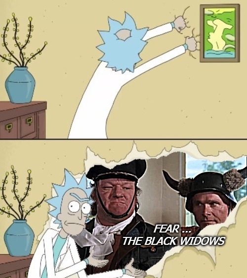 FEAR ... THE BLACK WIDOWS | image tagged in fear | made w/ Imgflip meme maker