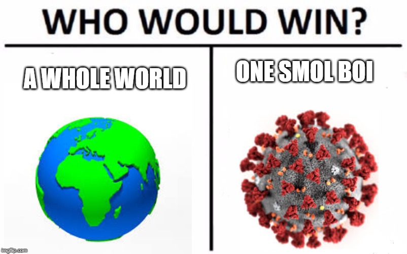 Who Would Win? | ONE SMOL BOI; A WHOLE WORLD | image tagged in memes,who would win | made w/ Imgflip meme maker