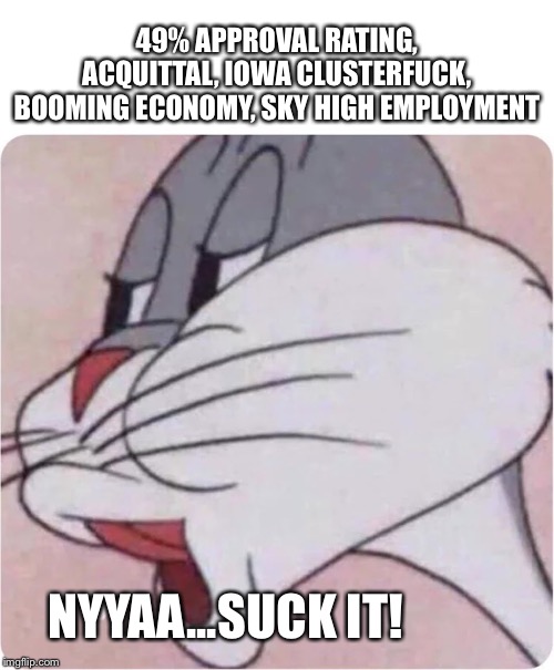 Bugs Bunny No | 49% APPROVAL RATING, ACQUITTAL, IOWA CLUSTERF**K, BOOMING ECONOMY, SKY HIGH EMPLOYMENT NYYAA...SUCK IT! | image tagged in bugs bunny no | made w/ Imgflip meme maker