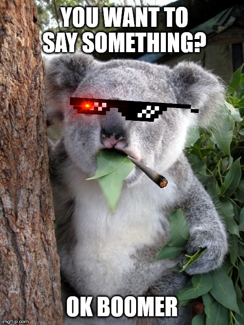 Surprised Koala Meme | YOU WANT TO SAY SOMETHING? OK BOOMER | image tagged in memes,surprised koala | made w/ Imgflip meme maker