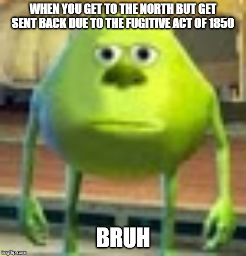 Sully Wazowski | WHEN YOU GET TO THE NORTH BUT GET SENT BACK DUE TO THE FUGITIVE ACT OF 1850; BRUH | image tagged in sully wazowski | made w/ Imgflip meme maker