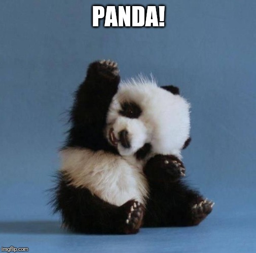 Panda | PANDA! | image tagged in panda | made w/ Imgflip meme maker