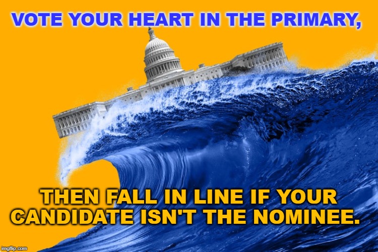 Vote your heart in the primary, then fall in line if your candidate isnt the nominee | VOTE YOUR HEART IN THE PRIMARY, THEN FALL IN LINE IF YOUR CANDIDATE ISN'T THE NOMINEE. | image tagged in election 2020 | made w/ Imgflip meme maker