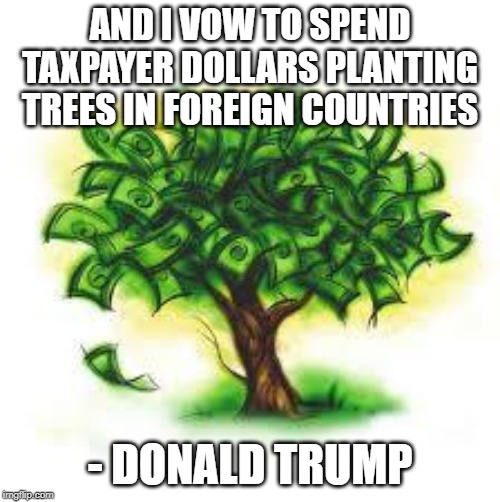 money tree | AND I VOW TO SPEND TAXPAYER DOLLARS PLANTING TREES IN FOREIGN COUNTRIES; - DONALD TRUMP | image tagged in money tree | made w/ Imgflip meme maker