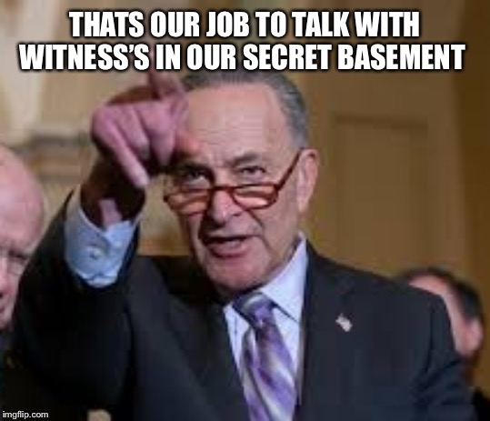 Schmuck Shumer | THATS OUR JOB TO TALK WITH WITNESS’S IN OUR SECRET BASEMENT | image tagged in schmuck shumer | made w/ Imgflip meme maker