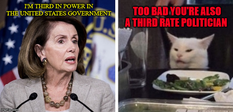 Pelosi yells at cat | I'M THIRD IN POWER IN THE UNITED STATES GOVERNMENT; TOO BAD YOU'RE ALSO A THIRD RATE POLITICIAN | image tagged in pelosi yells at cat | made w/ Imgflip meme maker