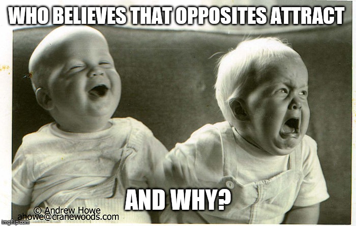 Opposite baby | WHO BELIEVES THAT OPPOSITES ATTRACT; AND WHY? | image tagged in opposite baby | made w/ Imgflip meme maker