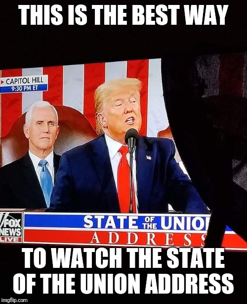 State of the Union Address | THIS IS THE BEST WAY; TO WATCH THE STATE OF THE UNION ADDRESS | image tagged in donald trump,sotu,funny,nancy pelosi | made w/ Imgflip meme maker