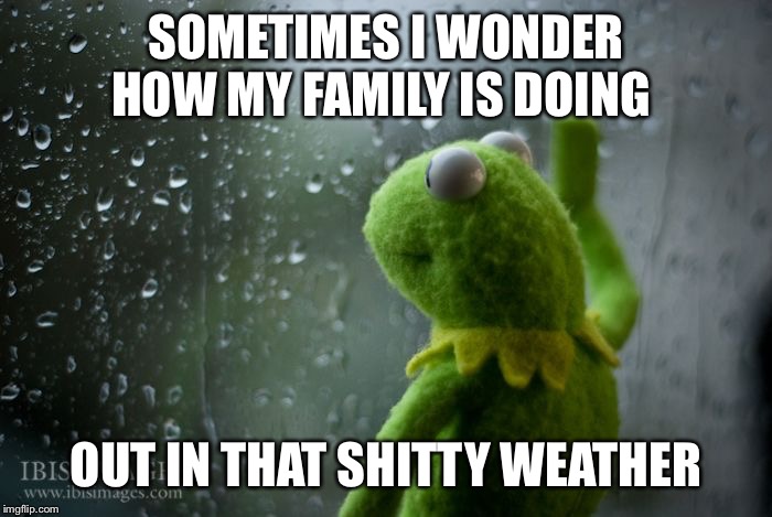 Sometimes I wonder | SOMETIMES I WONDER HOW MY FAMILY IS DOING; OUT IN THAT SHITTY WEATHER | image tagged in kermit the frog,weather,family,rain,animals,i wonder | made w/ Imgflip meme maker