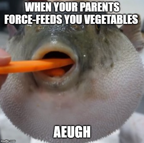pufferfish eating carrot | WHEN YOUR PARENTS FORCE-FEEDS YOU VEGETABLES; AEUGH | image tagged in pufferfish eating carrot | made w/ Imgflip meme maker