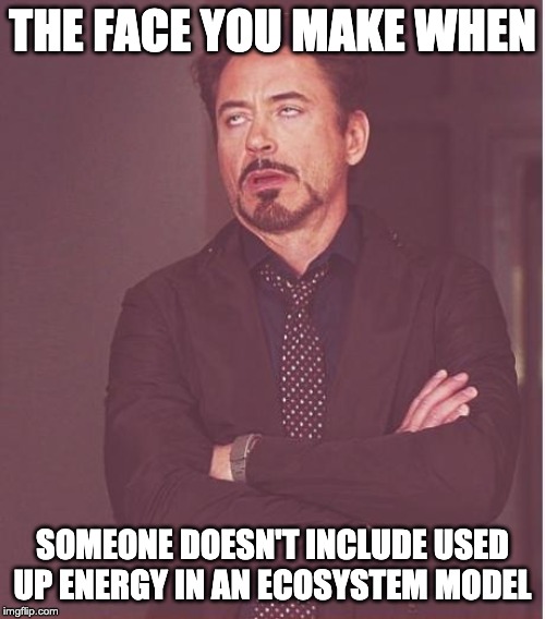 Face You Make Robert Downey Jr Meme | THE FACE YOU MAKE WHEN; SOMEONE DOESN'T INCLUDE USED UP ENERGY IN AN ECOSYSTEM MODEL | image tagged in memes,face you make robert downey jr | made w/ Imgflip meme maker