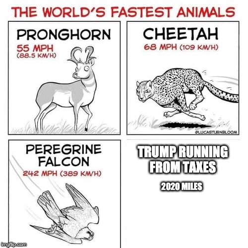 The world's fastest animals | TRUMP RUNNING FROM TAXES; 2020 MILES | image tagged in the world's fastest animals | made w/ Imgflip meme maker