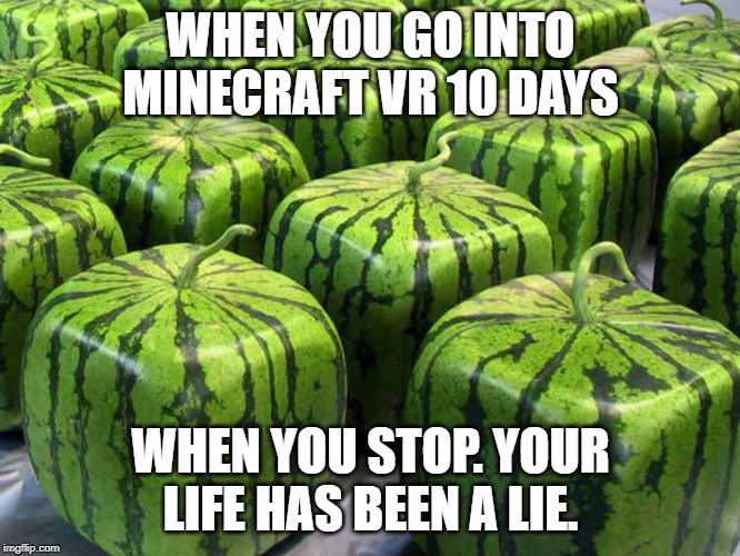 Minecraft Melons | WHEN YOU GO INTO MINECRAFT VR 10 DAYS; WHEN YOU STOP. YOUR LIFE HAS BEEN A LIE. | image tagged in minecraft melons | made w/ Imgflip meme maker