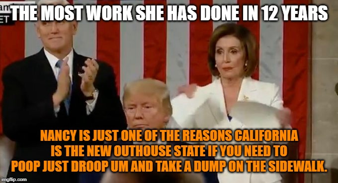 Lil Ms.Nancy from the Outhouse State | THE MOST WORK SHE HAS DONE IN 12 YEARS; NANCY IS JUST ONE OF THE REASONS CALIFORNIA IS THE NEW OUTHOUSE STATE IF YOU NEED TO POOP JUST DROOP UM AND TAKE A DUMP ON THE SIDEWALK. | image tagged in old bird,do nothing,crying democrats | made w/ Imgflip meme maker