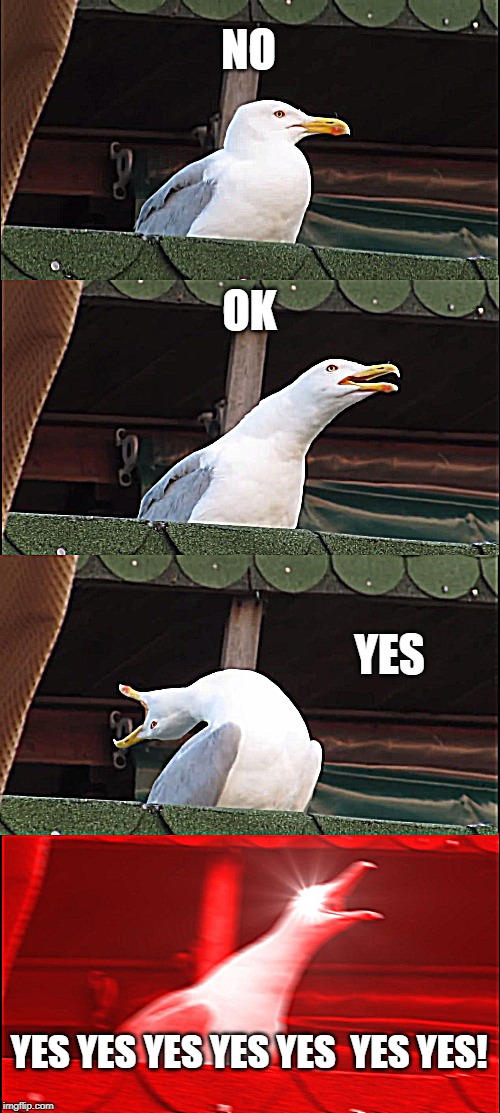 Inhaling Seagull Meme | NO OK YES YES YES YES YES YES  YES YES! | image tagged in memes,inhaling seagull | made w/ Imgflip meme maker