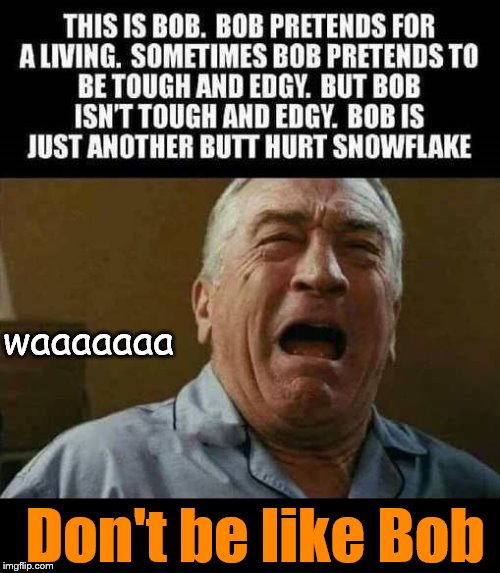What a POS | waaaaaaa; Don't be like Bob | image tagged in robert deniro | made w/ Imgflip meme maker