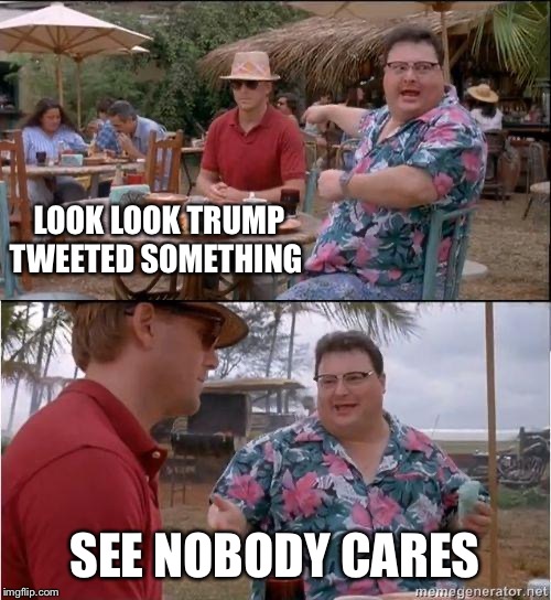 See? No one cares | LOOK LOOK TRUMP TWEETED SOMETHING; SEE NOBODY CARES | image tagged in see no one cares | made w/ Imgflip meme maker
