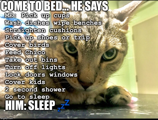 Chico | COME TO BED... HE SAYS; ME: Pick up cups
Wash dishes wipe benches 
Straighten cushions 
Pick up shoes or trip
Cover birds 
Feed Chico 
Take out bins 
Turn off lights
Lock doors windows 
Cover kids 
2 second shower 
Go to sleep; HIM: SLEEP 💤 | image tagged in chico | made w/ Imgflip meme maker