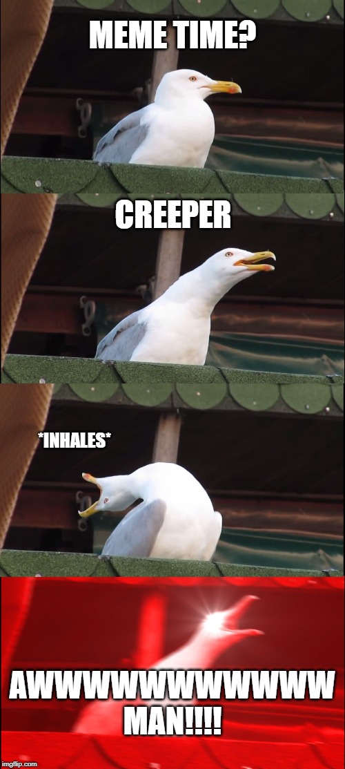Inhaling Seagull | MEME TIME? CREEPER; *INHALES*; AWWWWWWWWWWW MAN!!!! | image tagged in memes,inhaling seagull | made w/ Imgflip meme maker